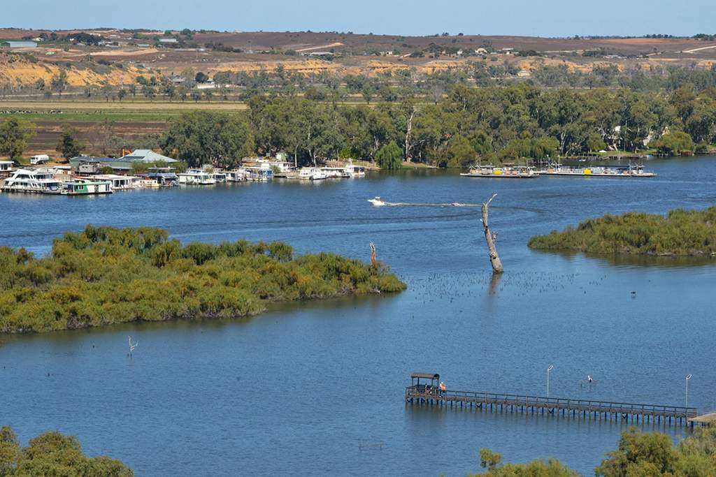 Mannum (Murray River)