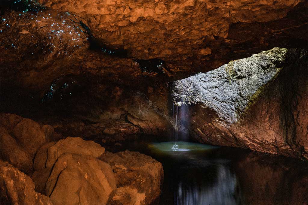 Glow Worms At Natural Bridge