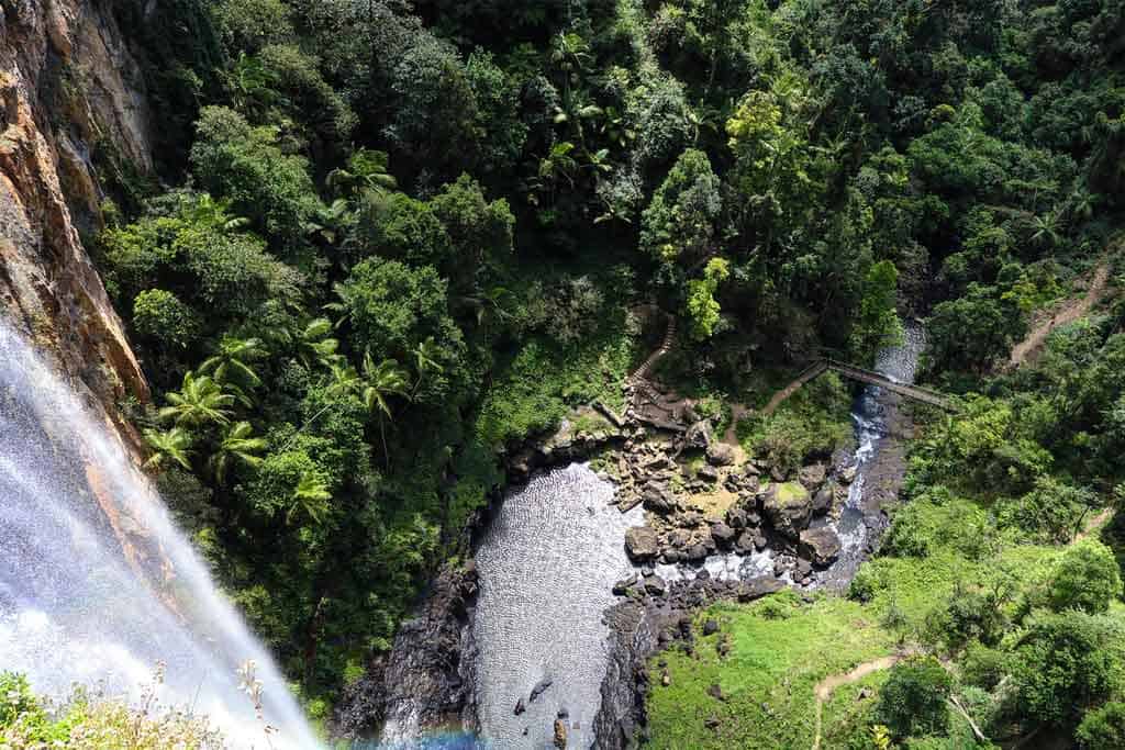 Views From The Top Of Purling Brook Falls