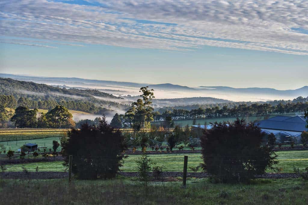 Yarra Valley Countryside