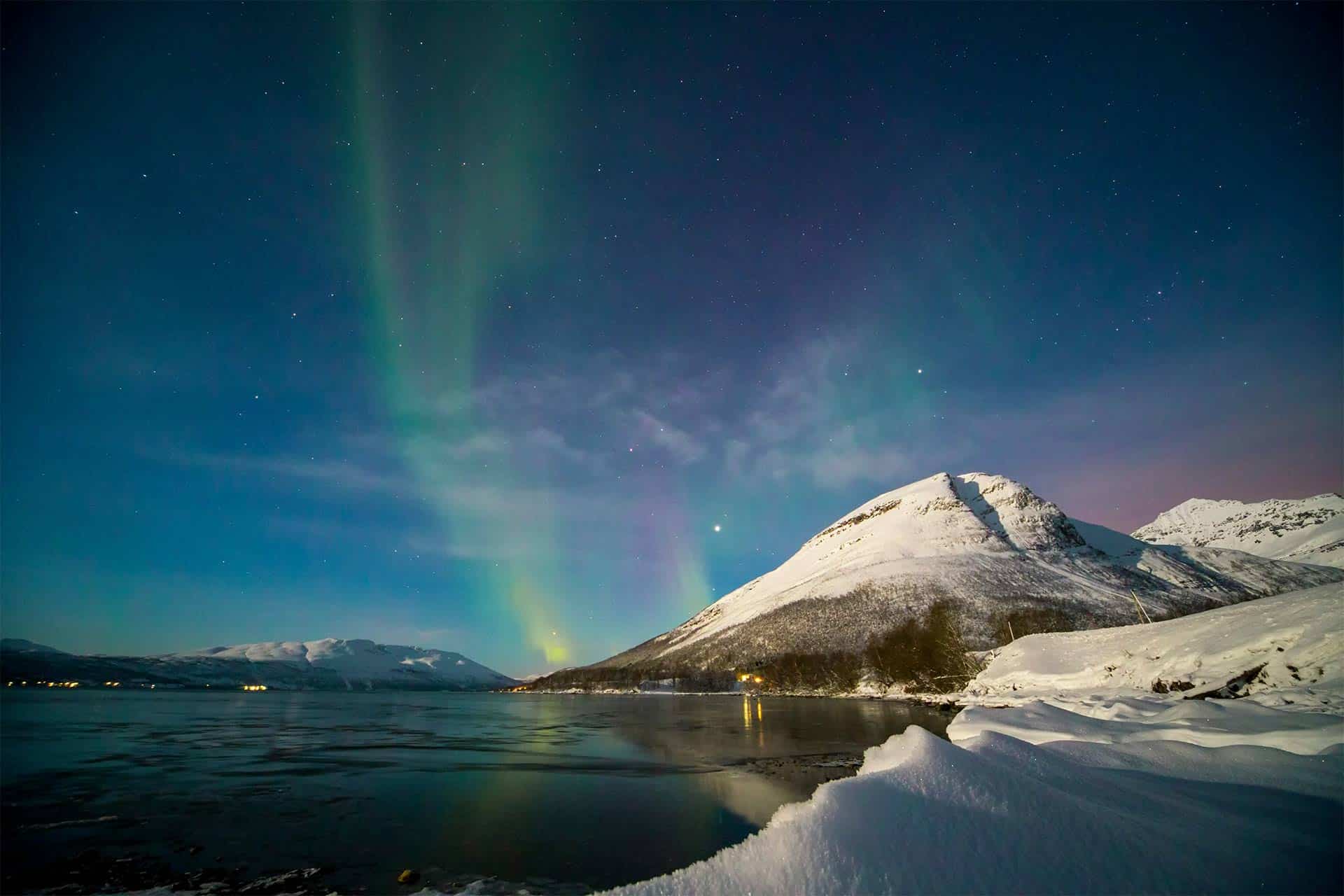 Antarctica Vs Arctic Travel Guide (2025 Update)