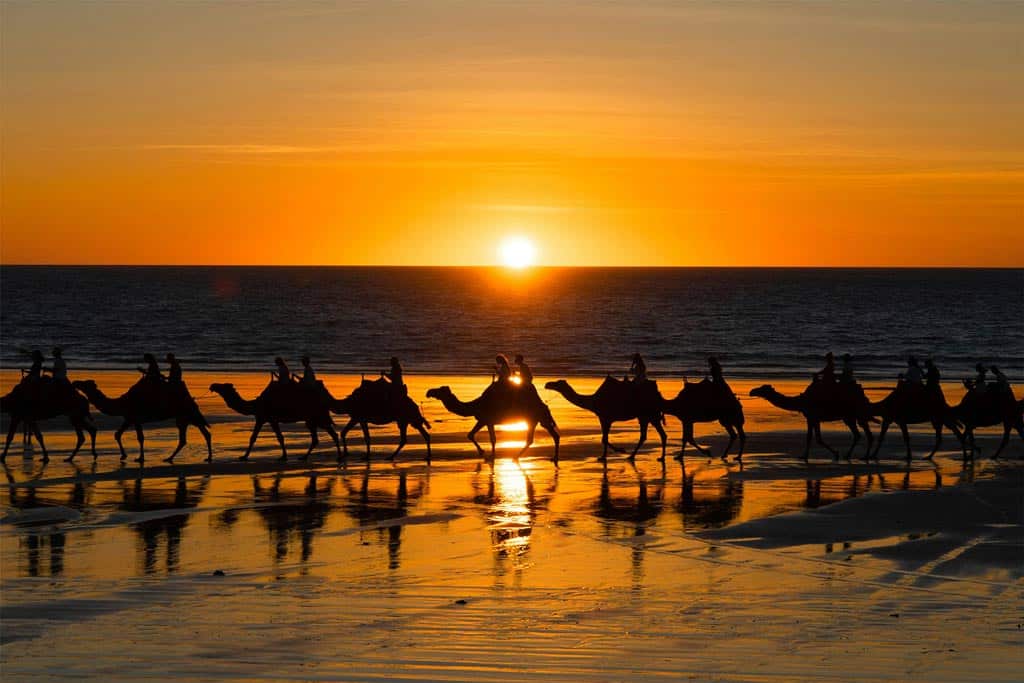 Sunset Camel Ride On Cable Beach