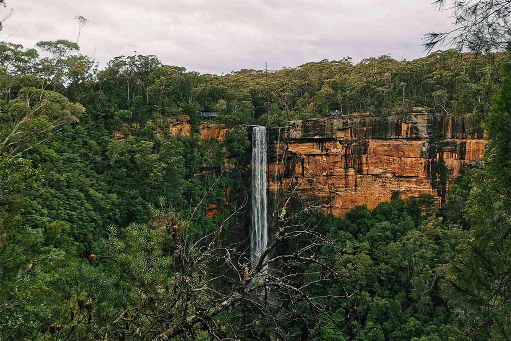 Cascate e foresta di Fitzroy nel Nuovo Galles del Sud