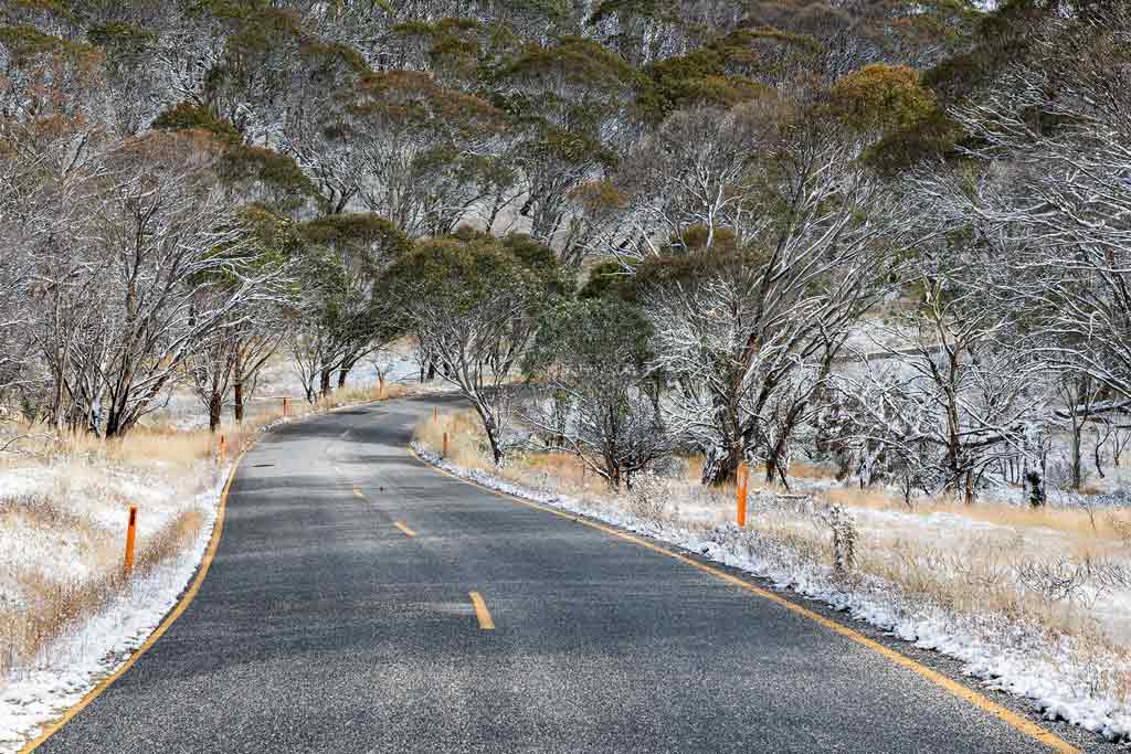Road To Mount Hotham Victoria Road Trips