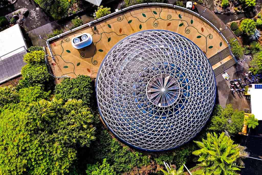Mount Coot-Tha Botanical Gardens