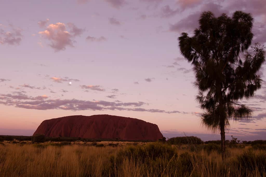 Uluru Sunset