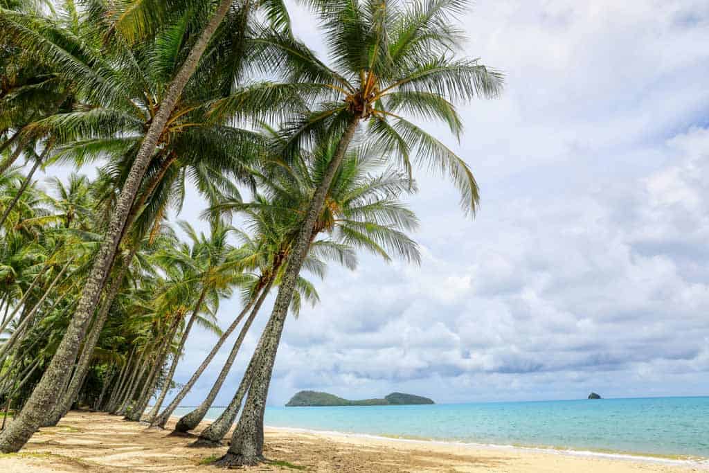 Palm Cove Beach