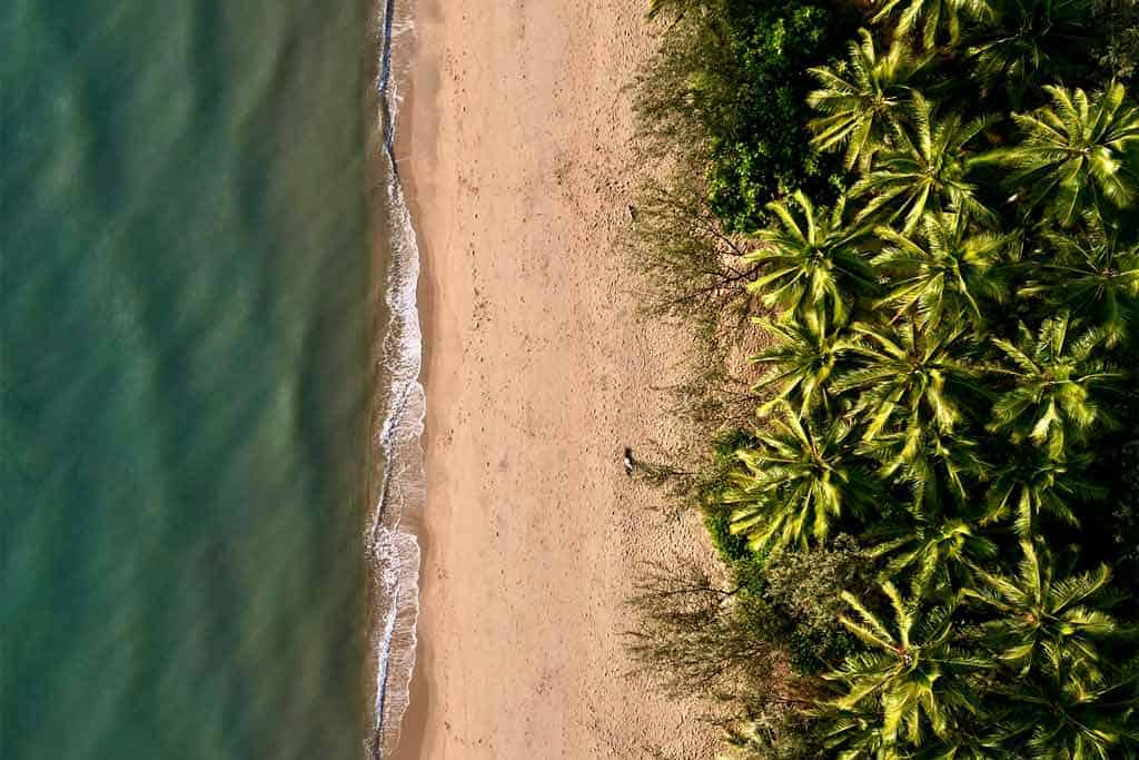 Plaża Palm Cove w Port Douglas