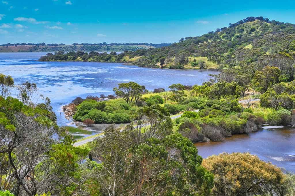 19 Best Places To Visit In Victoria, Australia (2025) Tower Hill Wildlife Reserve