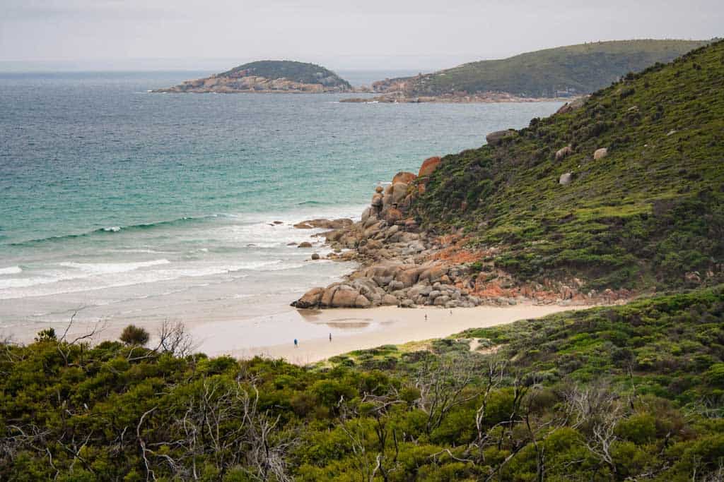 19 Best Places To Visit In Victoria, Australia (2025) Wilson's Promontory