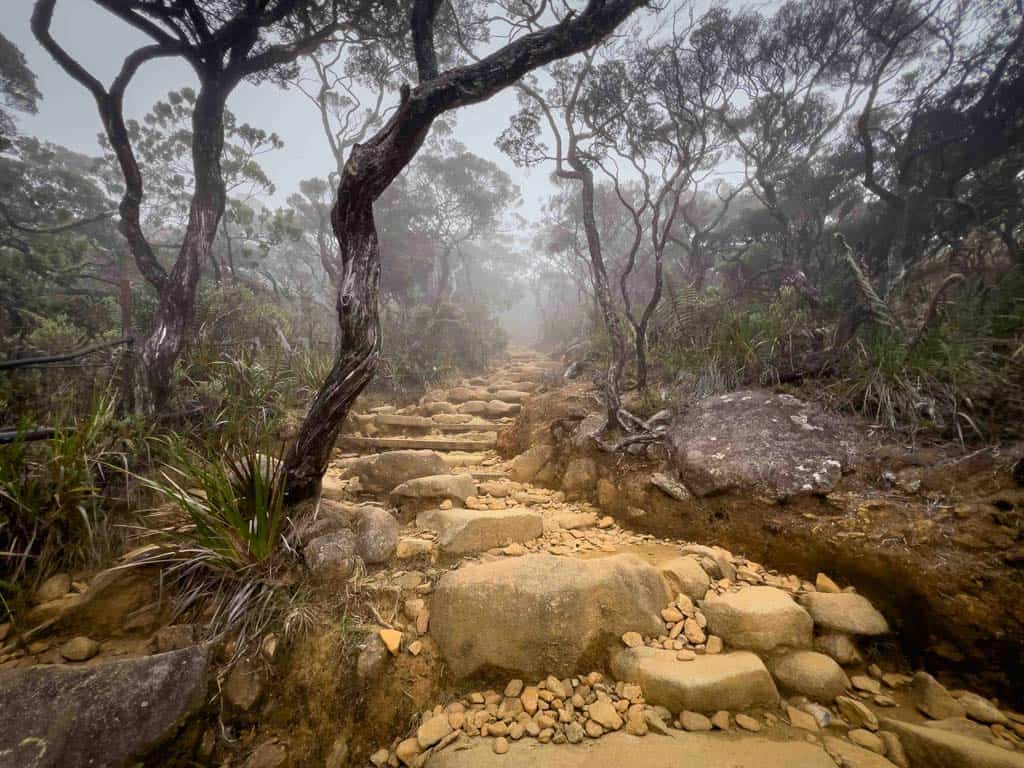 Crazy Steps Up Mountain Kinabalu