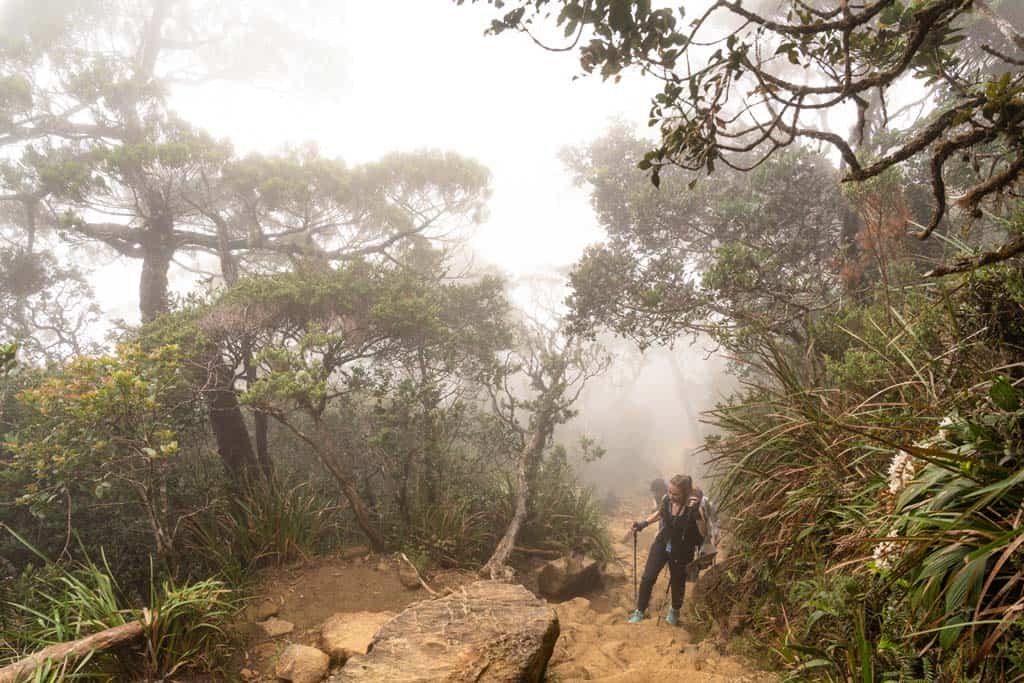 Mount Kinabalu Borneo Klim door de mist