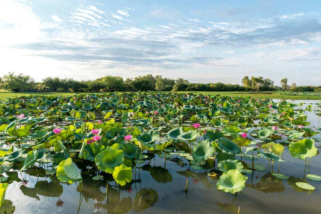 Kakadu National Park Wetlands