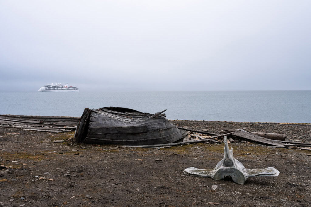 Ossos de baleia de Bamsebu Svalbard