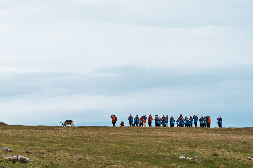Visitantes observando renas em Alkhornet e Svalbard