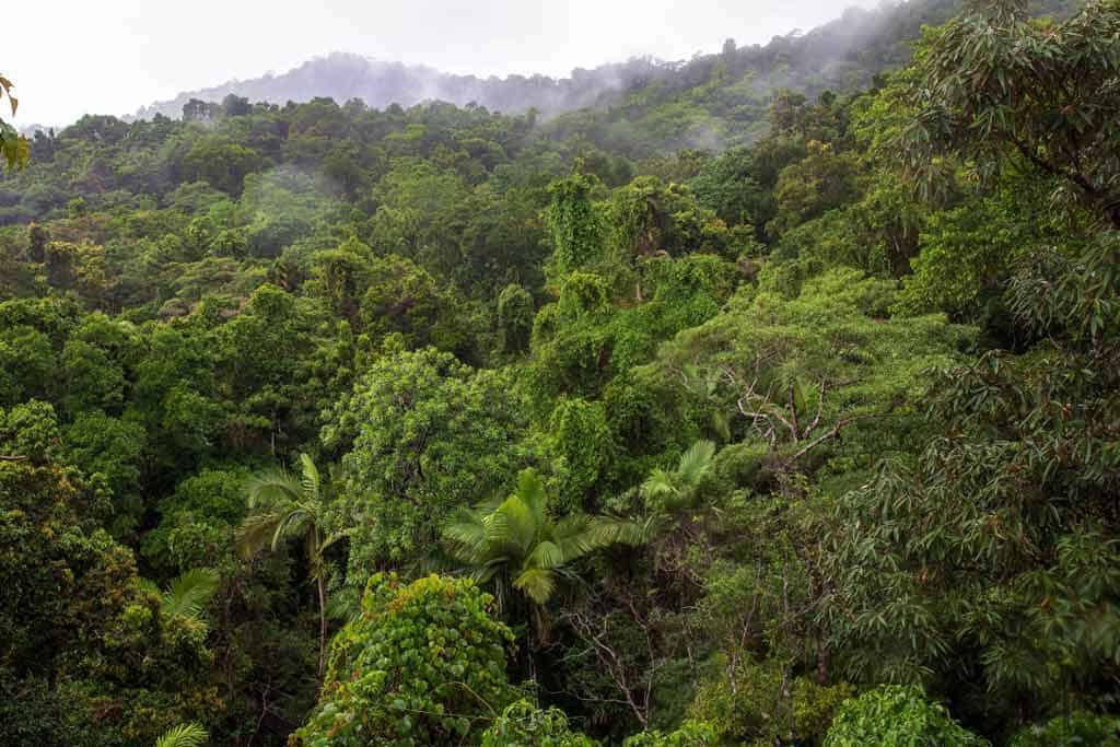 Daintree Rainforest Mountains